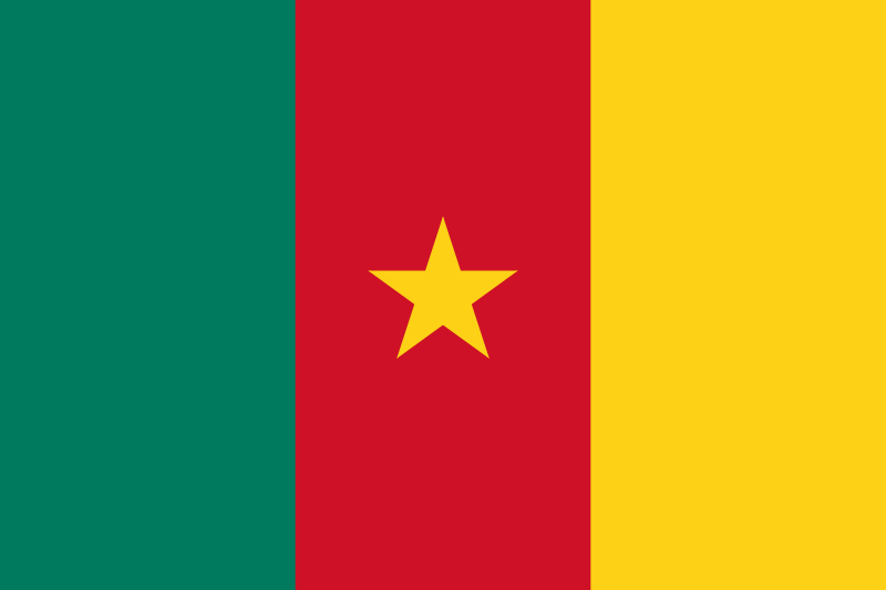 Flag of Cameroon