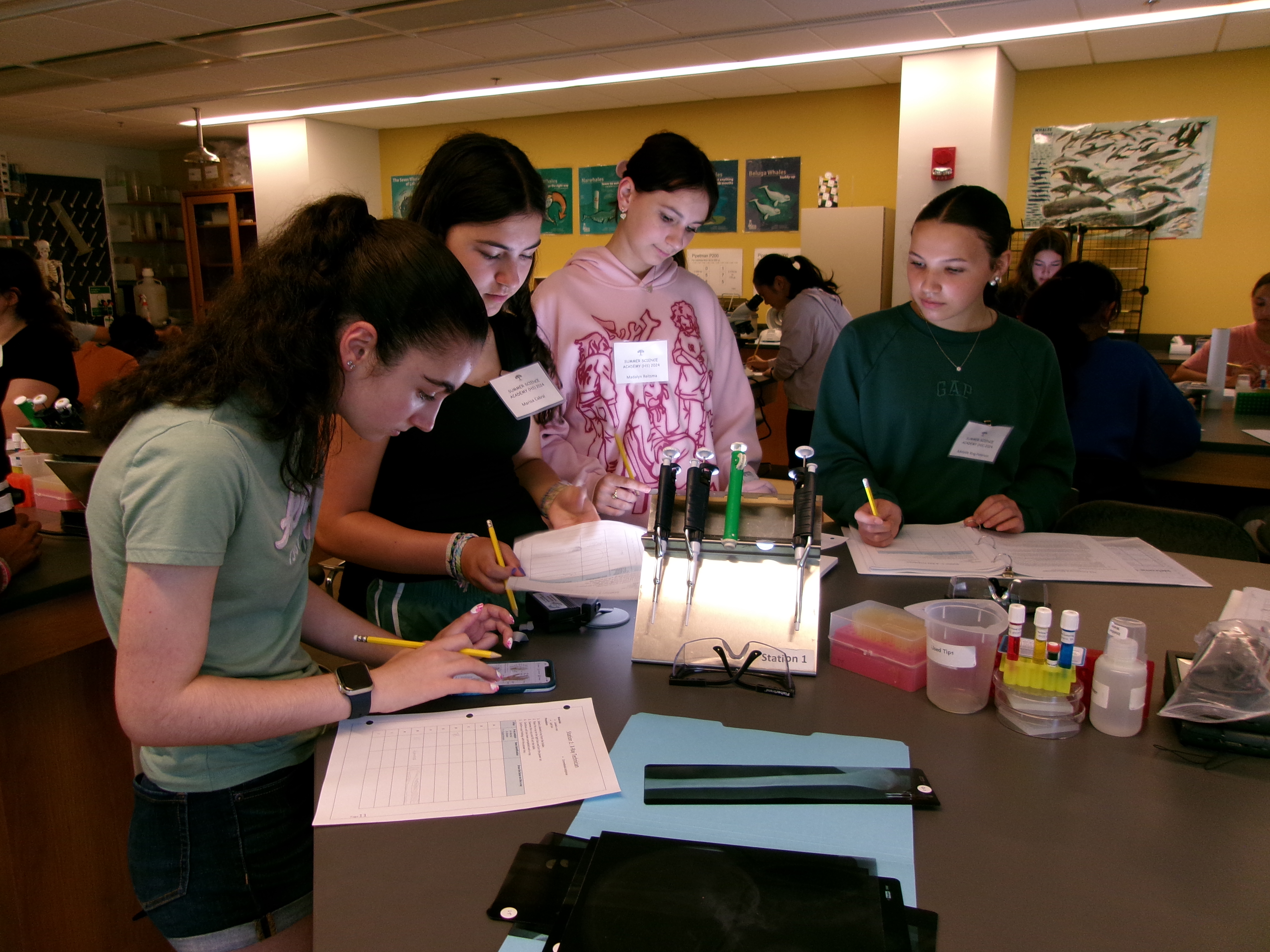 Four students in a lab setting looking over a lightbox