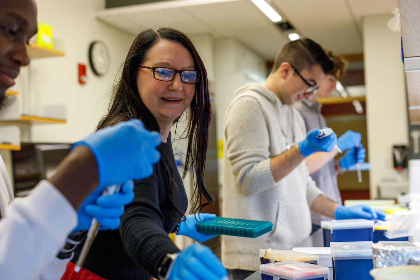 undergraduate biology lab