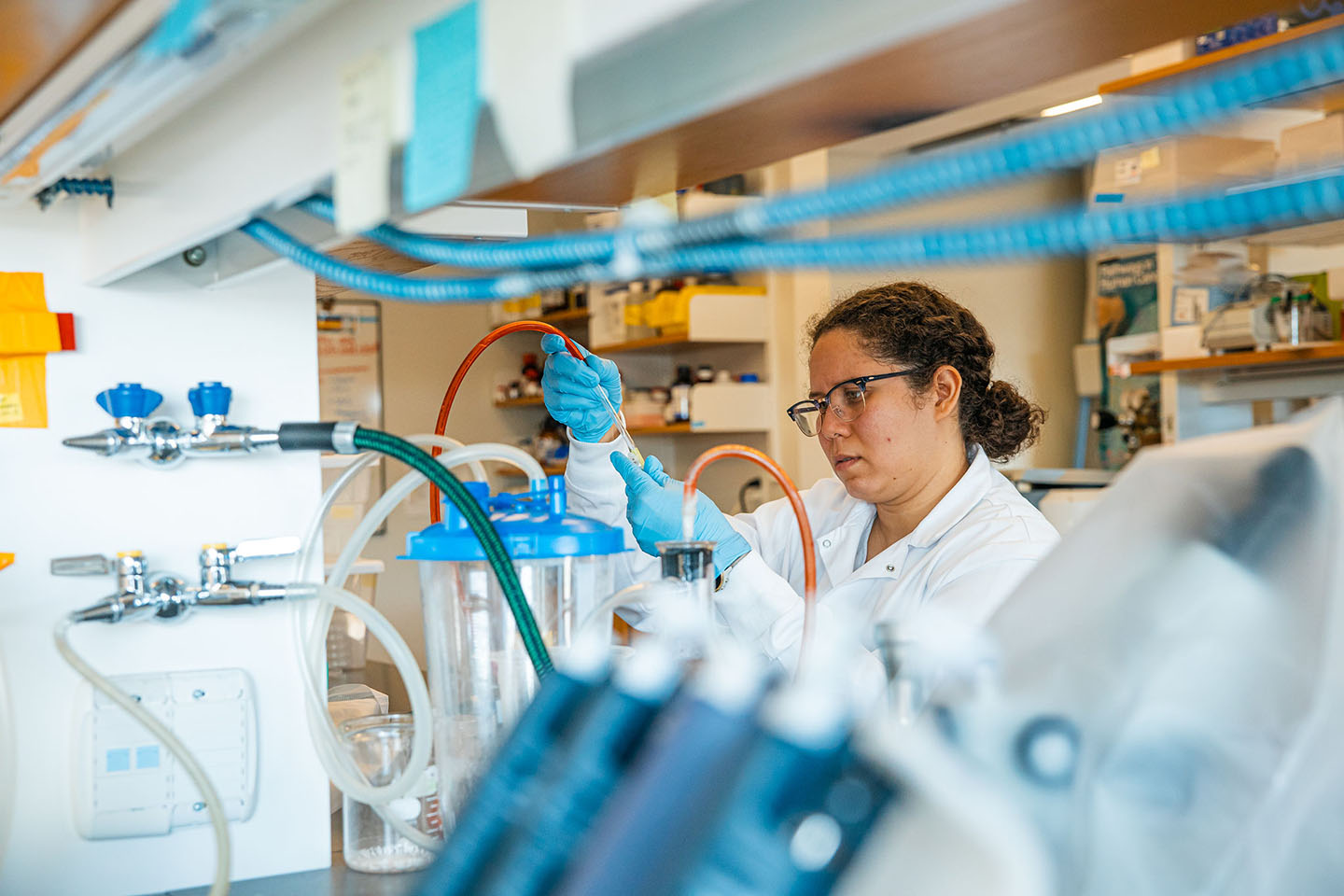 BSU Biology graduate student conducting research in the lab