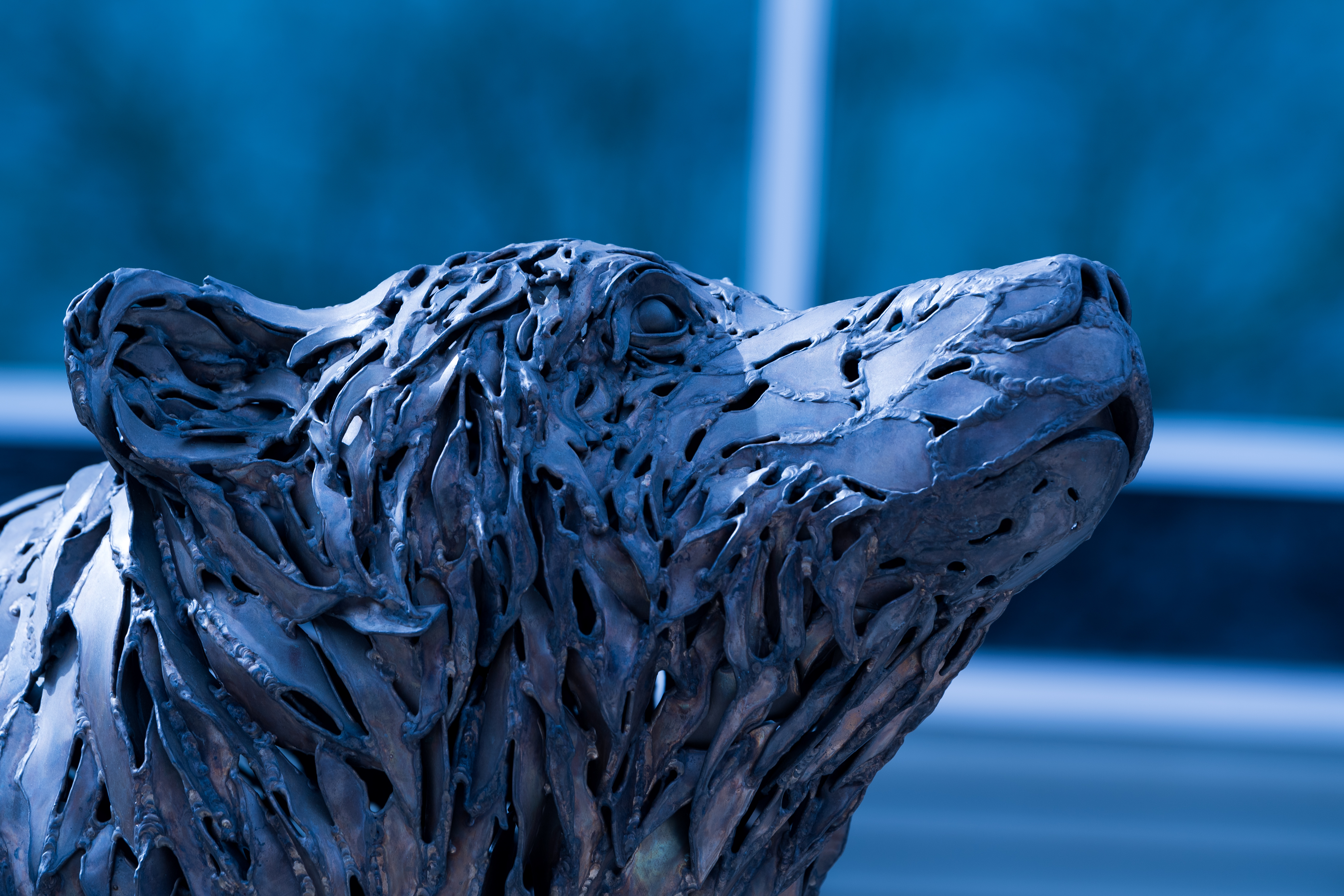 Close-up of the bronze bear sculpture in front of Rondileau Student Union - the bear's face looks up toward the sky and to the right
