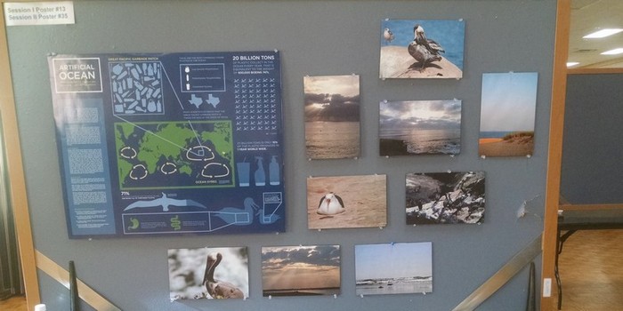 Project poster at Environmental Symposium