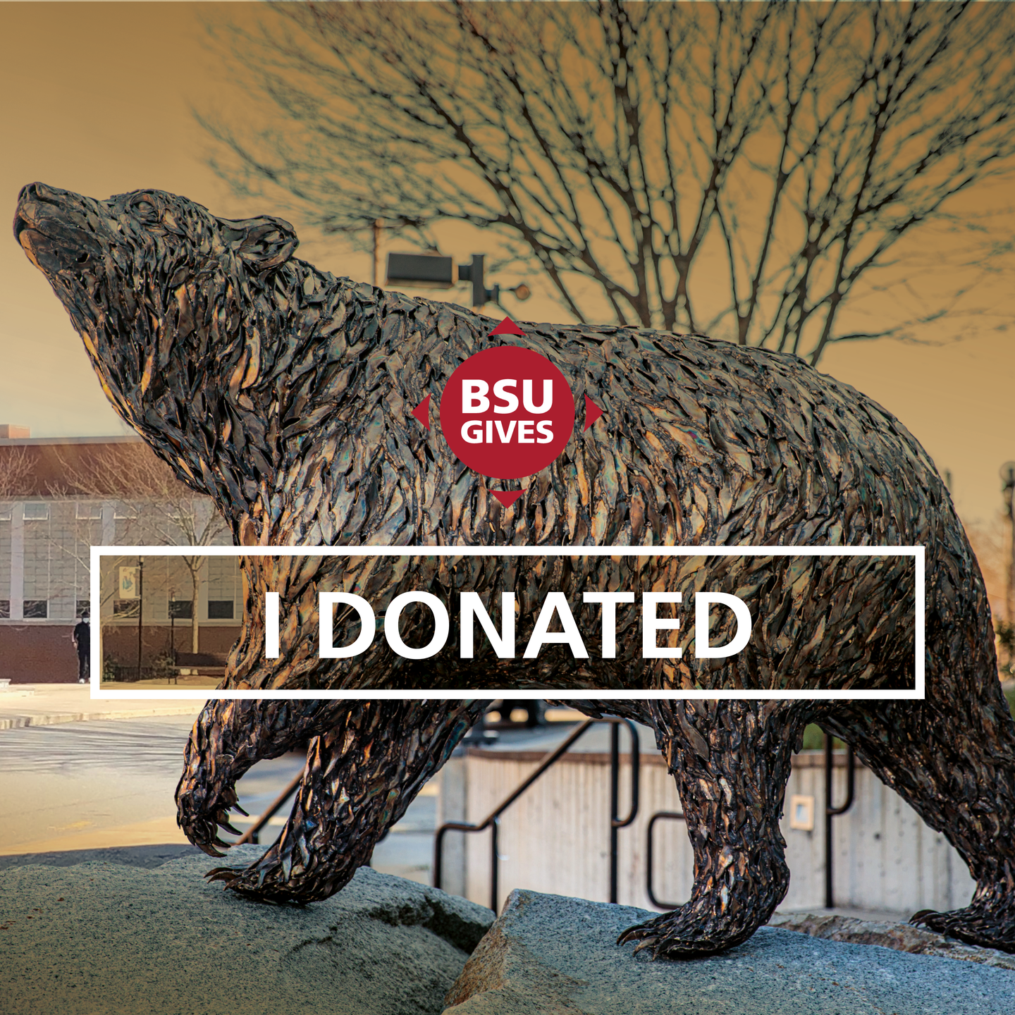 BSU Gives 2021 I Donated Bear