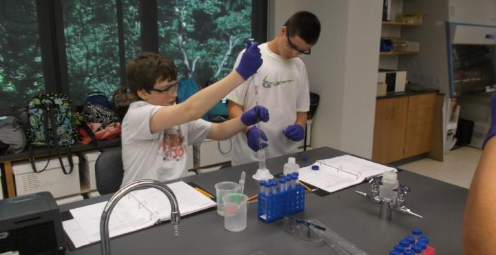Students running an experiment in the lab