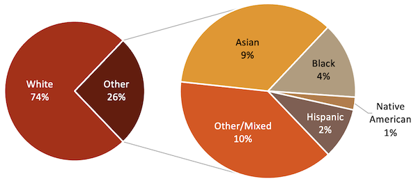 Faculty Ethnicities: Asian 9%, Black 4%, Hispanic, 2%, Native American 1%, White 74%, Other/Mixed 10%