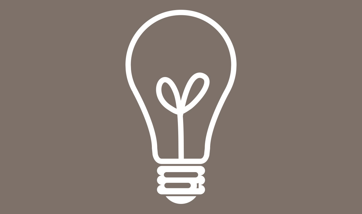 Lightbulb icon
