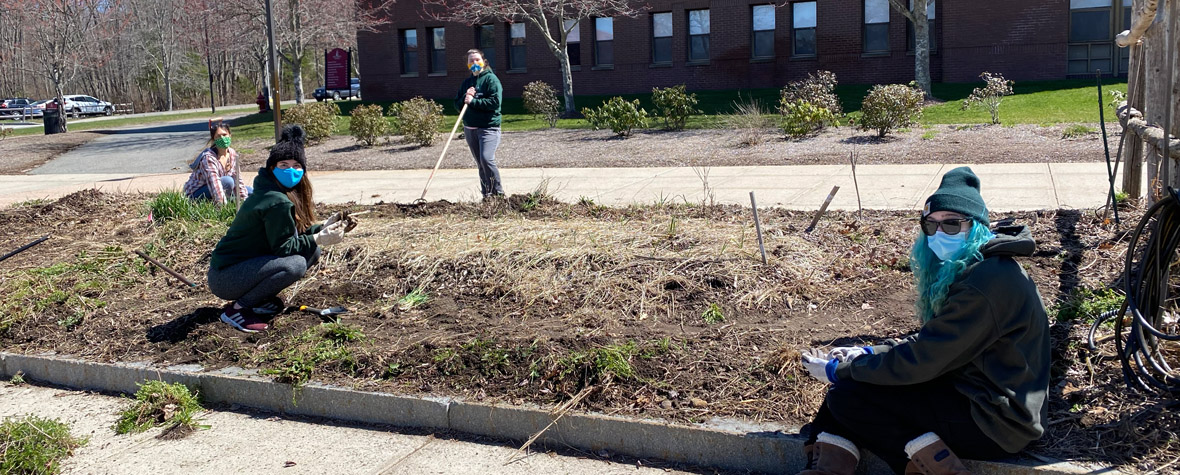 Spring semester sustainability interns