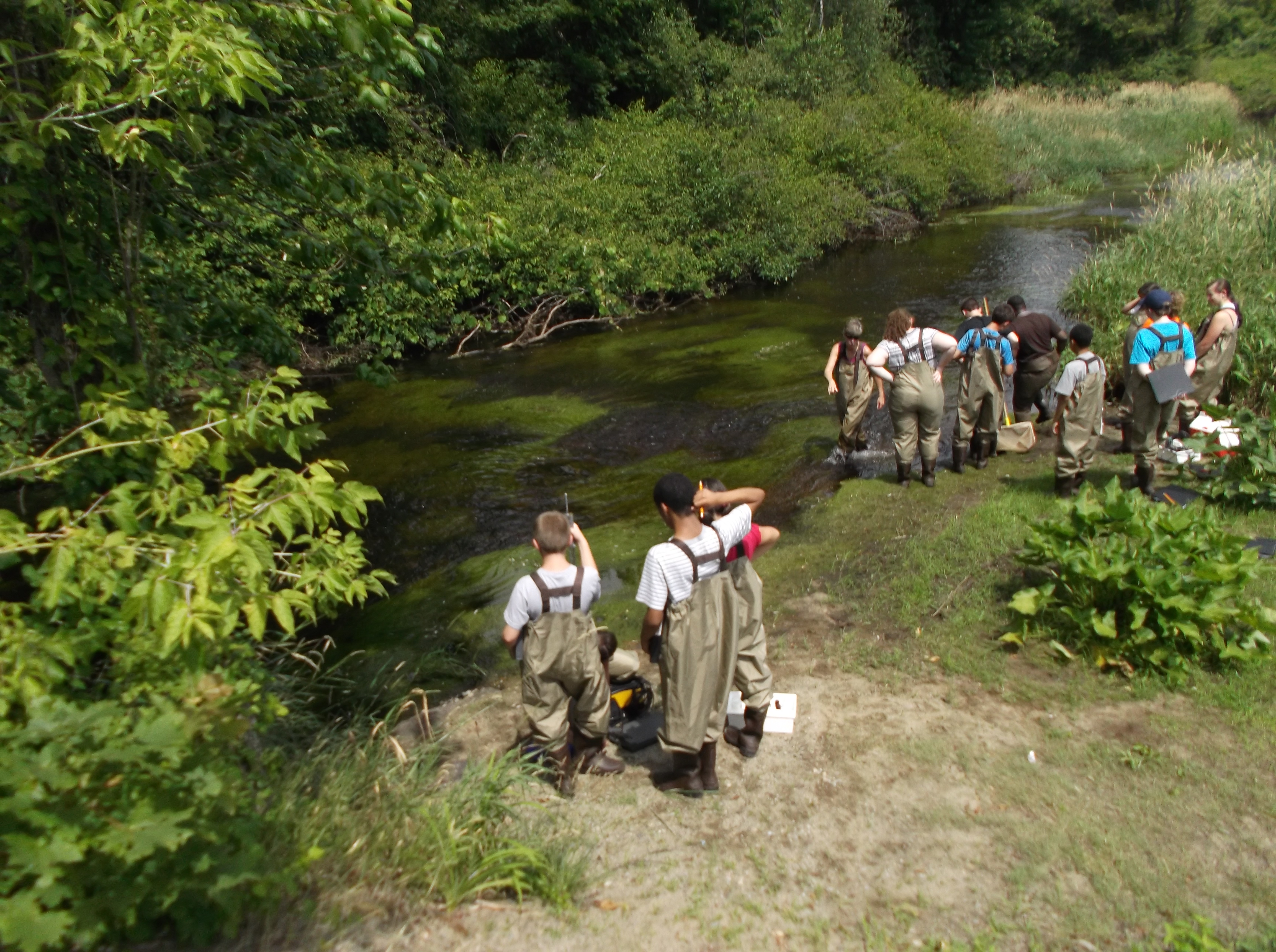Students wearing waders gather at the edge of a river to collect water samples