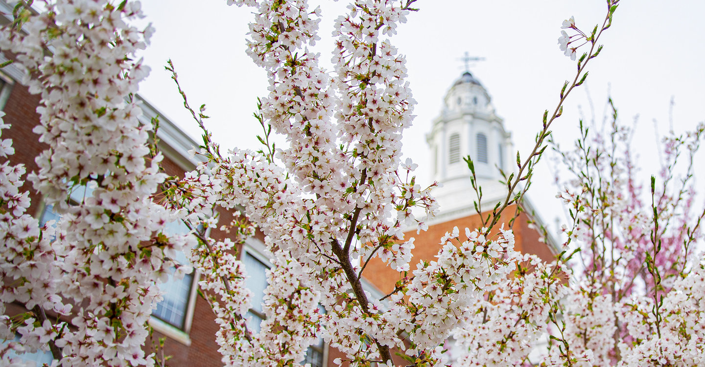 Boyden Hall in the spring