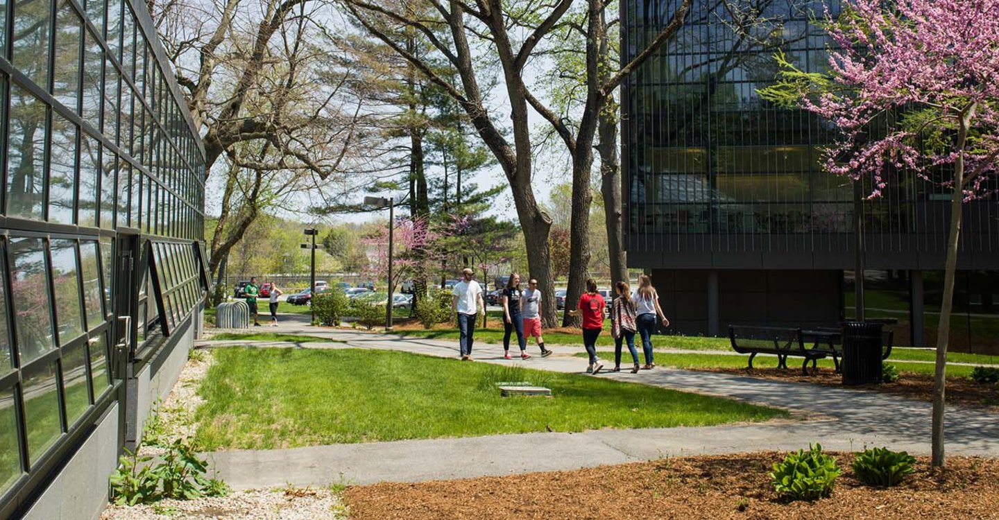Students walk across the campus in spring