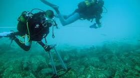 Two scuba divers collecting samples underwater