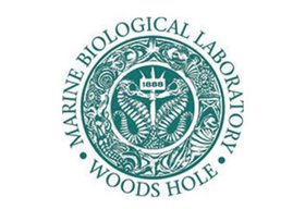 Marine Biological Laboratory Woods Hole