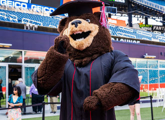 Bristaco, BSU's bear mascot, posing in a graduation cap and gown at Gillette Stadium, where commencement is held