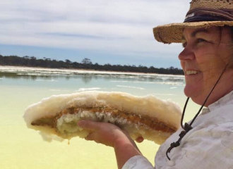 Dr. Kathy Counter Benison, ’90