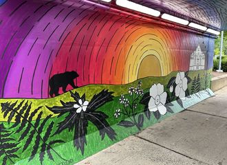 A view of the new mural in the tunnel with rainbow