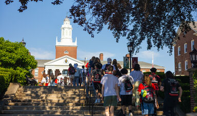 A group of students walking up stairs