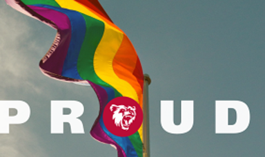 Flag photo with bear logo