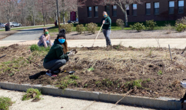 Interns working in garden
