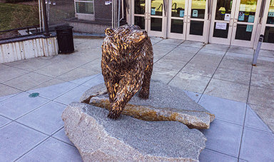 Bear statue in front of the Rondileau Student Union