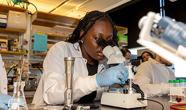 A student looks in a microscope.