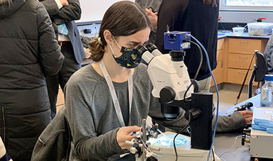 Alexis Anzalone sits at a lab table and looks in a microscope.