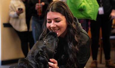 A comfort dog licks a student's face.