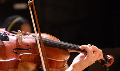 A string instrument is played.