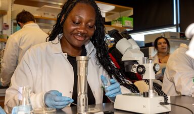 A student works with a microscope in a lab.