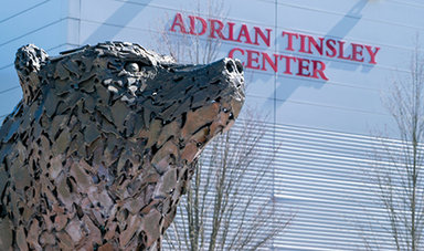 The bear statue in front of the Tinsley Center
