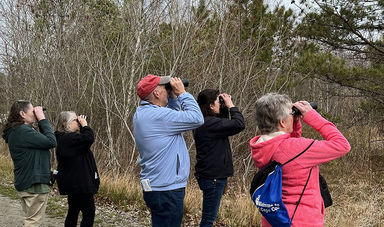 A group of senior college students peering through binoculars on a nature walk