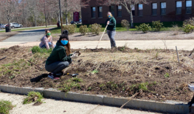 Interns working in garden 