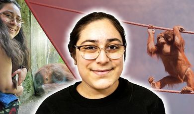 Mia Sarkisian, '19 smiles at camera with orangutan behind her and an image of her working with orangutan on other side 