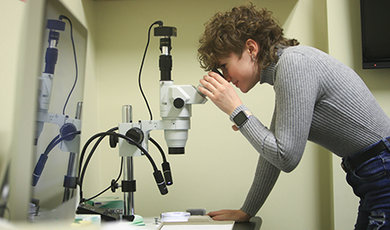 Cassandra Hartsgrove studies rat brain tissue using a microscope.