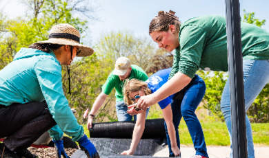 Students and faculty put plants in the garden to be used to make dye producing plants 