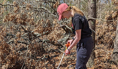 Grace Leopold uses a measuring tape while placing clay salamanders in the woods.