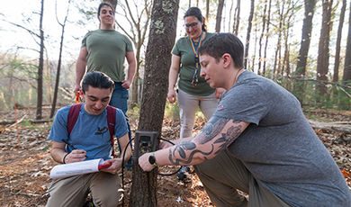 Students and a professor attach a camera to a tree in the woods.