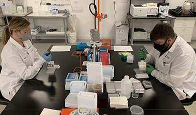 Rachel Toews and Austin Gouveia work at a lab table conducting tests.