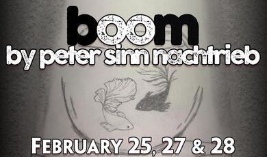 boom by Peter Sinn Nachtrieb