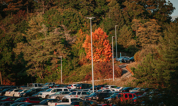cars in BSU parking lot on campus with trees in background