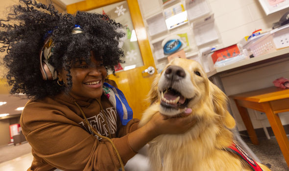 A student petting a therapy dog