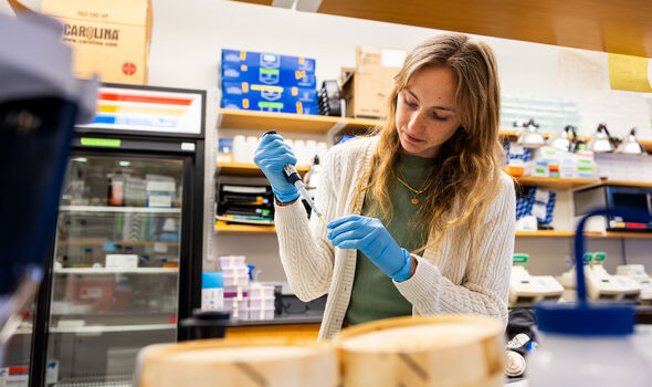 BSU Biology major Olivia Quintin works in the lab