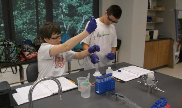 Students running an experiment in the lab