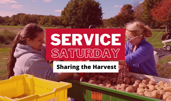 "Service Saturday" Event Image for off-campus service project with Sharing the Harvest Community Farm. Photo has red overlay and features two women harvesting and cleaning produce from the community farm. One woman has long brown hair in a ponytail wearing a grey hooded sweatshirt, the other is blonde in a blue sweatshirt and white sunglassesnwith her hair in a bun