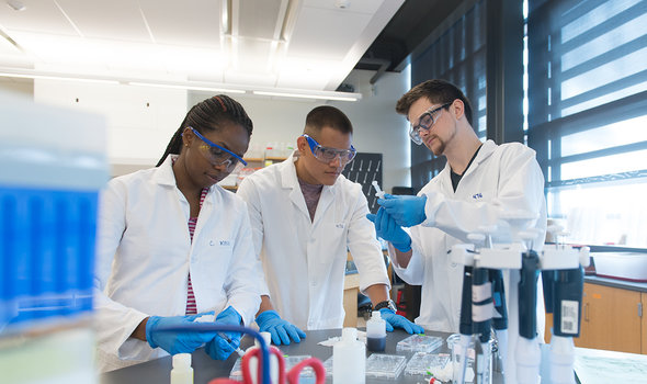 Three students in the lab