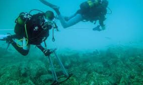 Two scuba divers collecting samples underwater