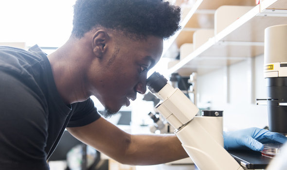 A biology student peering through a microscope at a sample