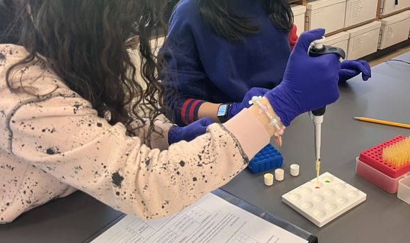 Two students working on a lab experiment with pipettes