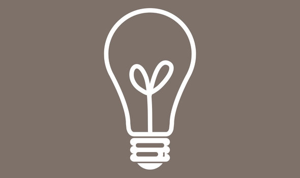 Lightbulb icon