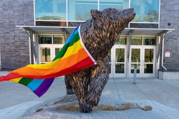 Bear with Pride Flag