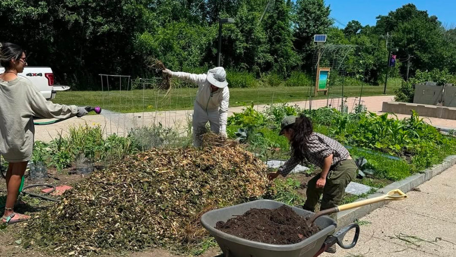 interns at the permaculture garden